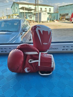 Боксерські рукавиці для тренувань Venum-10 venum10ozsin фото